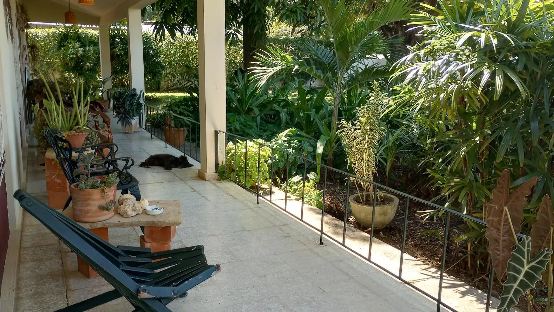 Casa Sylvie Hotel Sosua